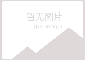 左权县女孩会计有限公司